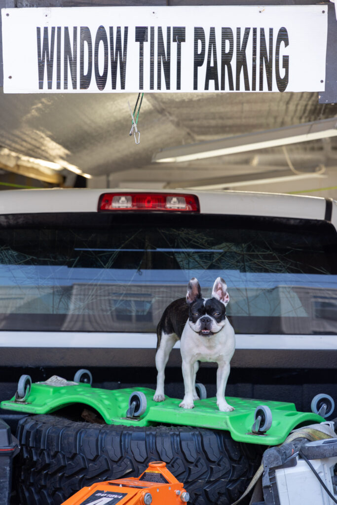 Tesla Sunroof Repair