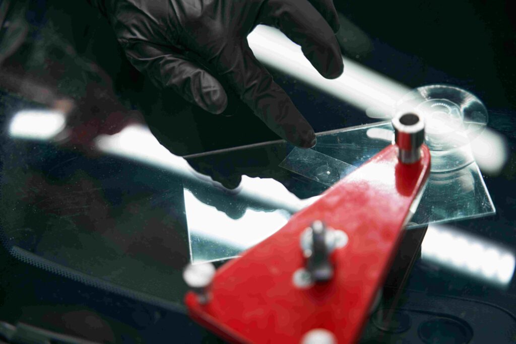 Auto Glass Repair